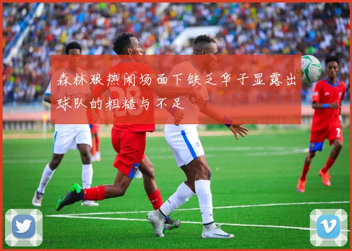 森林狼热闹场面下缺乏华子显露出球队的粗糙与不足